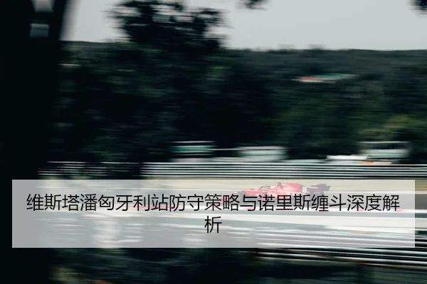 wei-si-ta-pan-xiong-ya-li-zhan-fang-shou-ce-lve-yu-nuo-li-si-chan-dou-shen-du-jie-xi-2-575.jpg