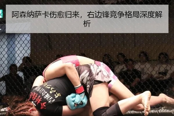 a-sen-na-sa-ka-shang-yu-gui-lai-you-bian-feng-jing-zheng-ge-ju-shen-du-jie-xi-2-699.jpg